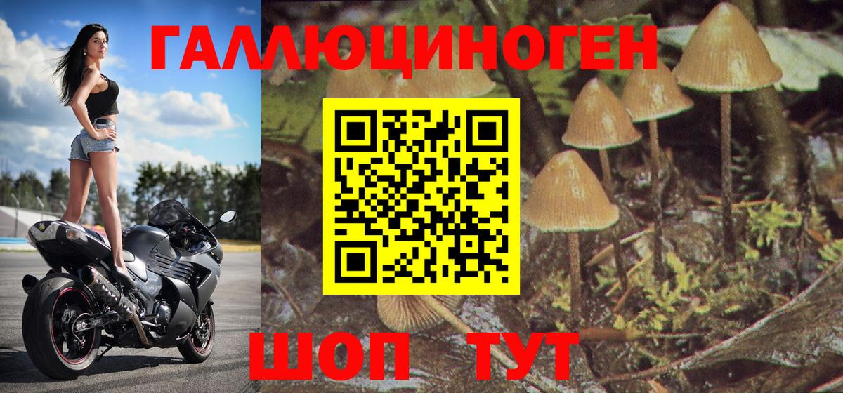 Галлюциногенные грибы MAGIC MUSHROOMS Балашов