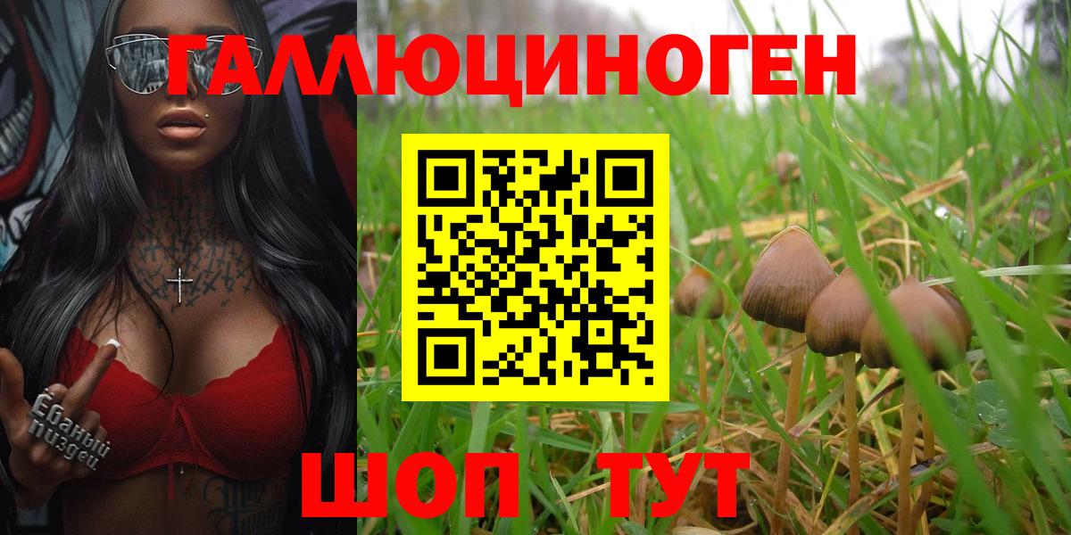 Галлюциногенные грибы ЛСД  Вход с VPN  Балашов 